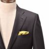 フェルッチミラノFERRUCCI9B-TREX/ジャラシックな世界観を身に着ける恐竜ティラノザウルス柄シルクポケットチーフ）n